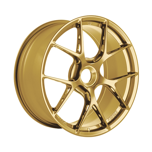 FI-R u. FI-R EVO Motorsport Gold