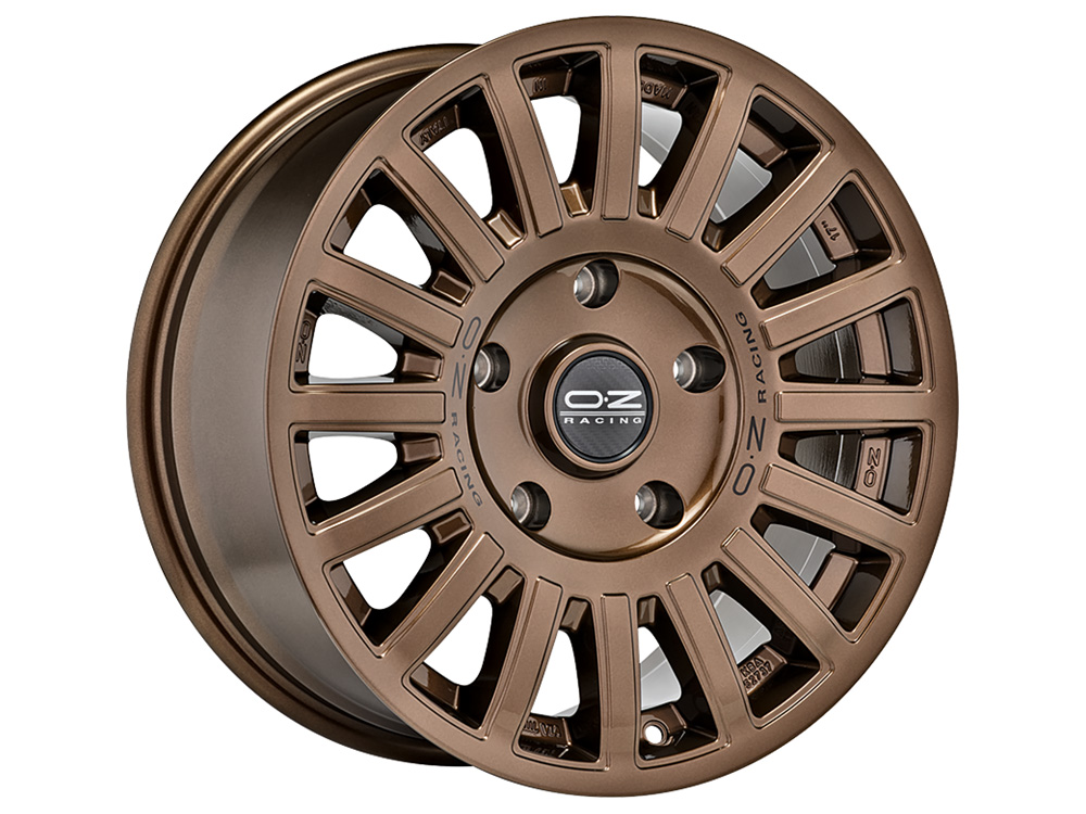 Rally Raid Bronze Glanz