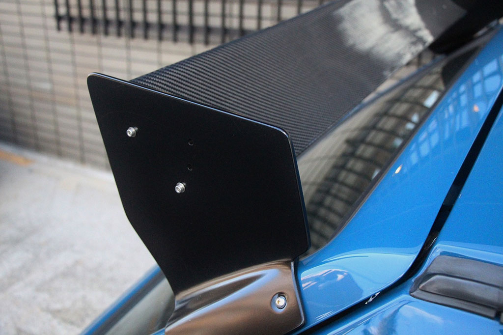 Cup Wing Carbon