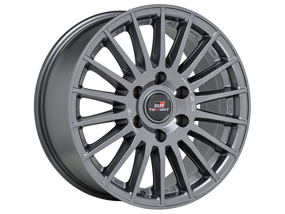 Rally Desert TGR-WRT Matt Graphite