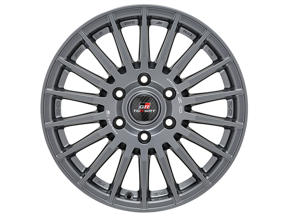 Rally Desert TGR-WRT Matt Graphite
